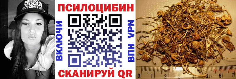 Галлюциногенные грибы Cubensis  Купить где  Рославль 